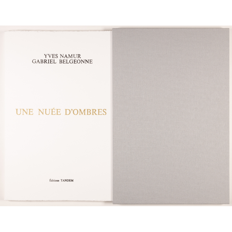 Une Nuée d'ombres